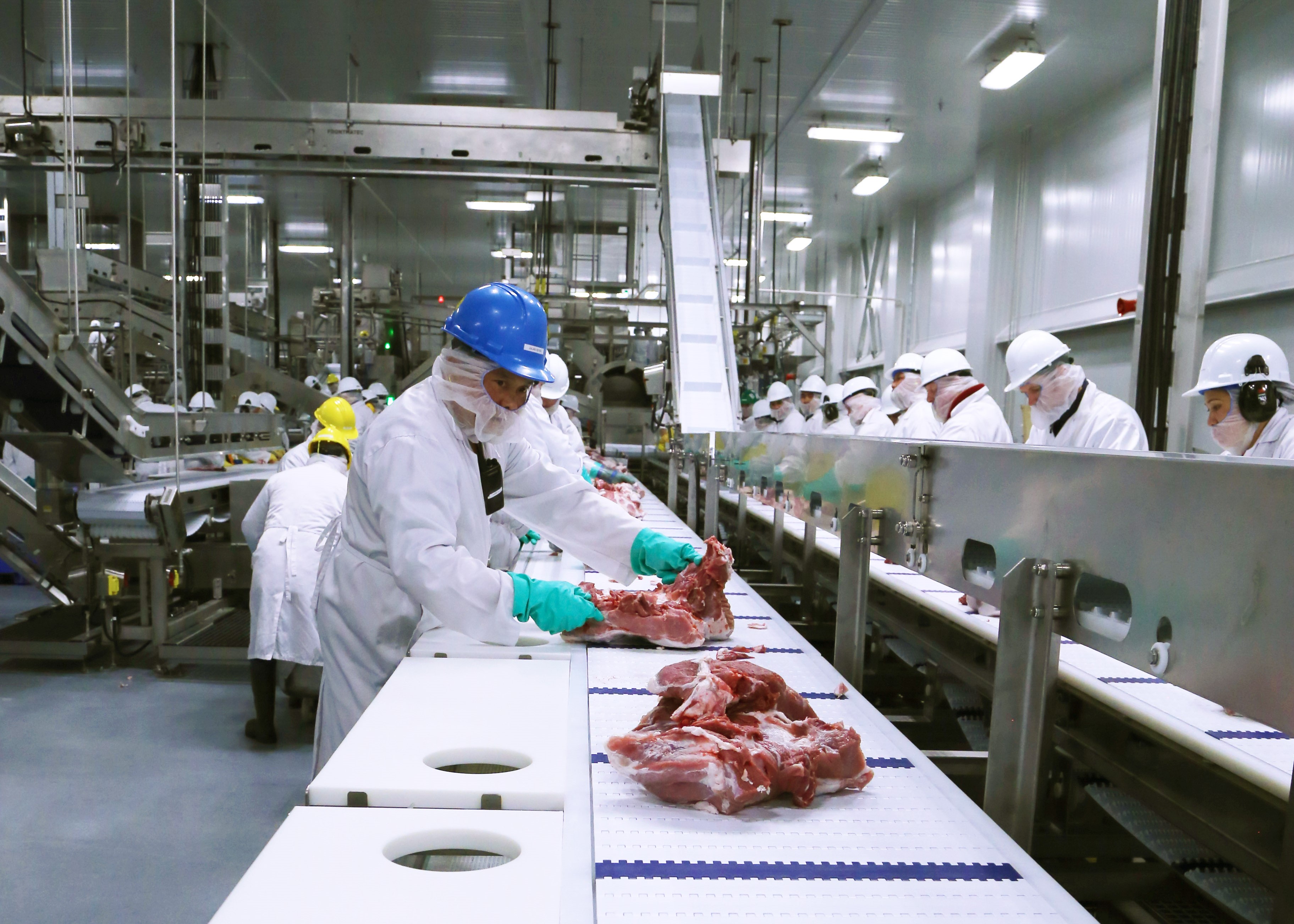 HyLife Pork Processing Plant KGS Group