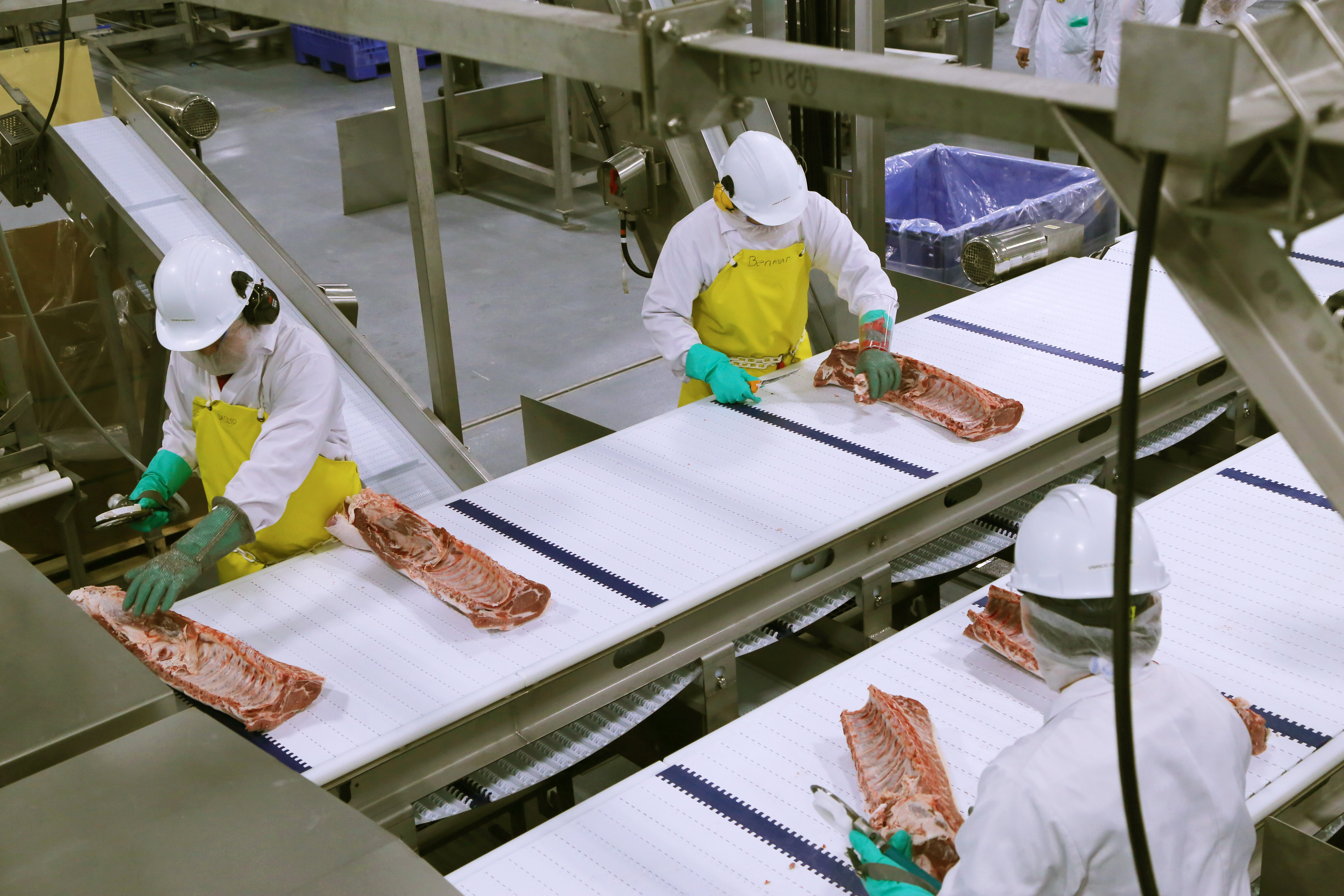 HyLife Pork Processing Plant KGS Group